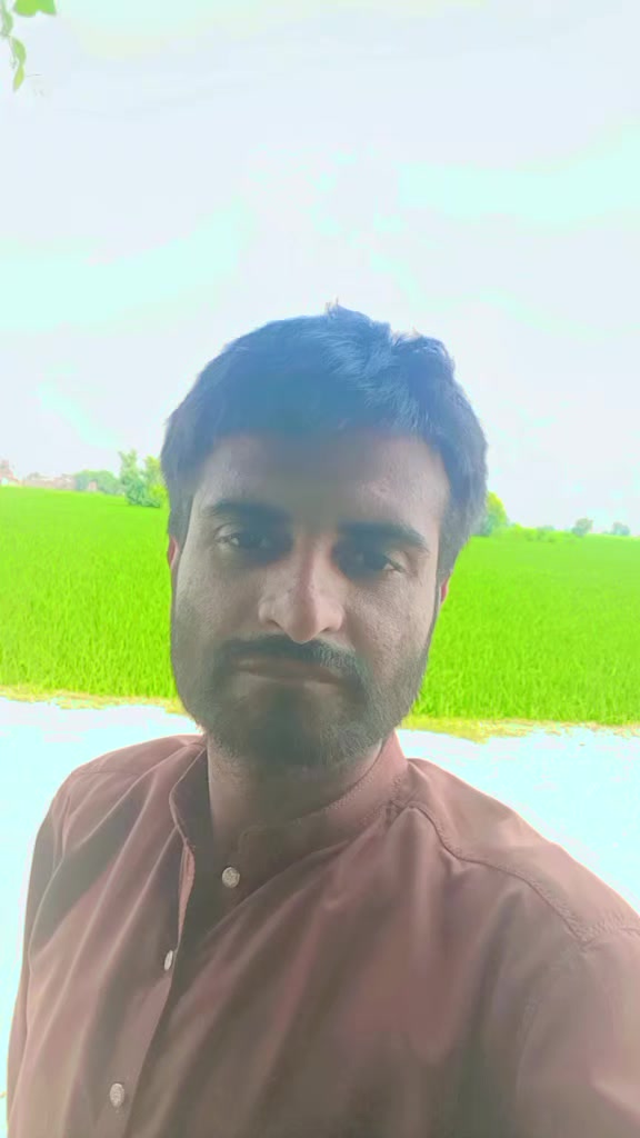 @gill sab