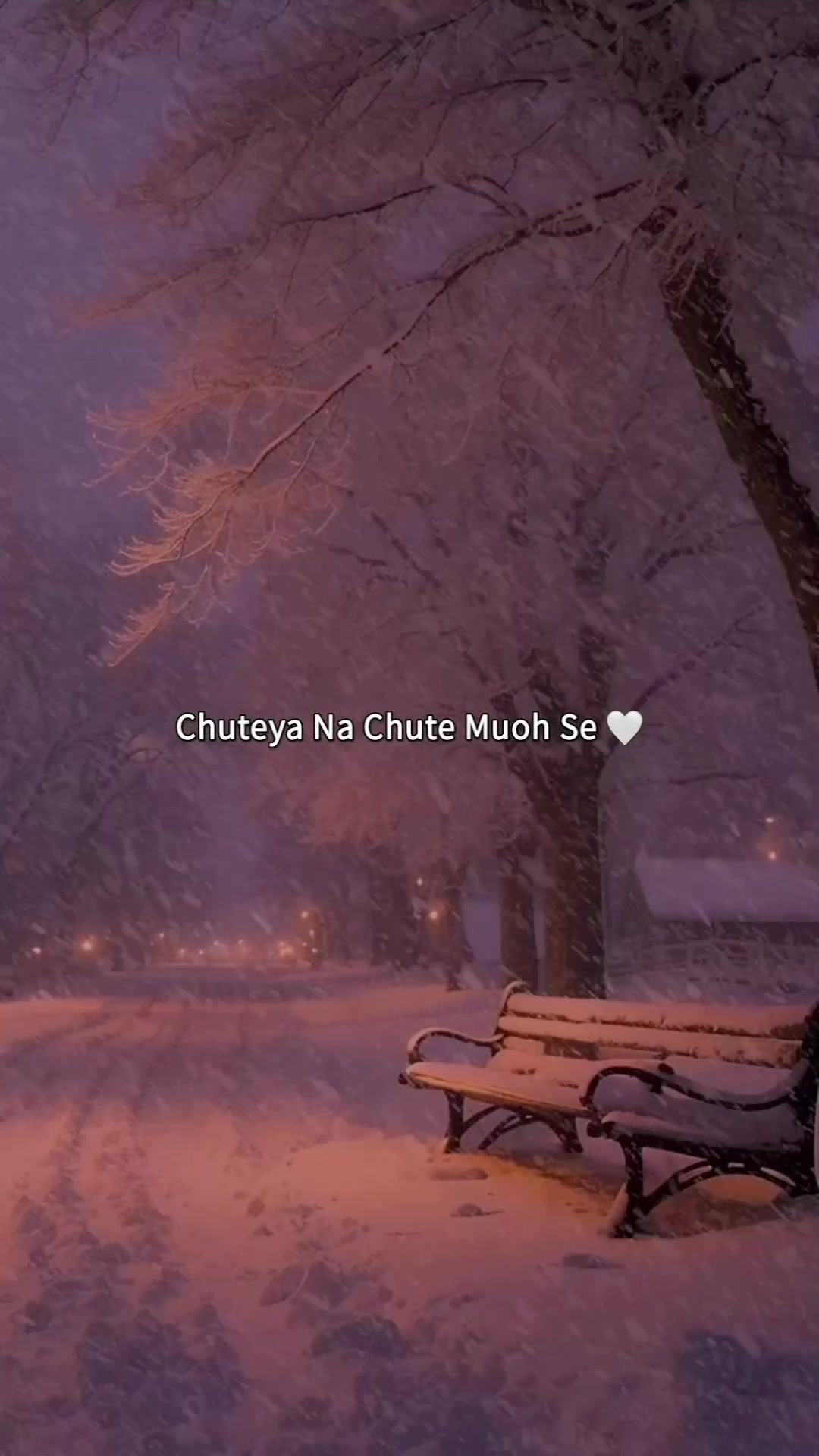 @𝗠𝗶𝗱𝗻𝗶𝗴𝗵𝘁 𝗦𝗼𝘂𝗹 🌙