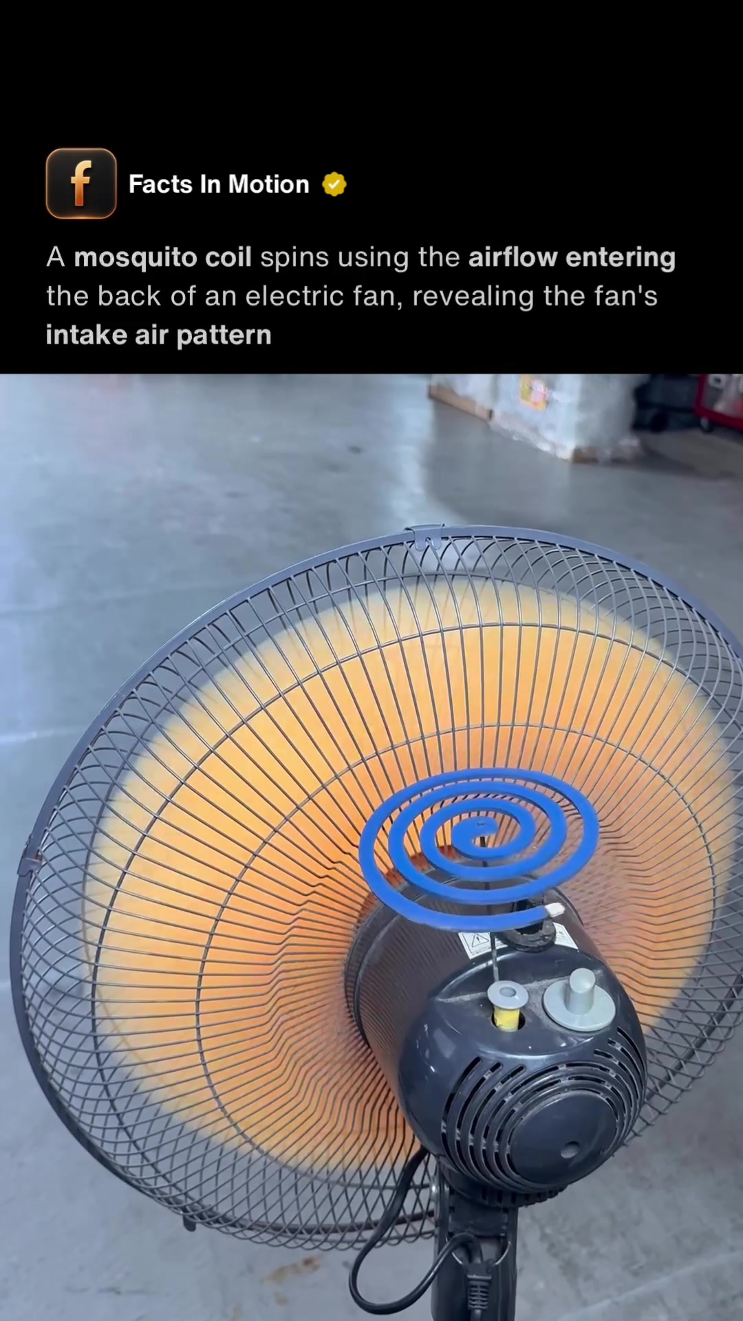 @Facts In Motion