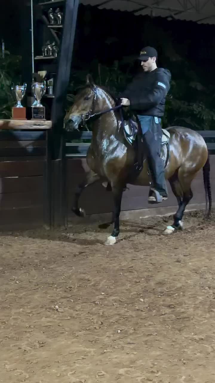 @Caballostrochadores