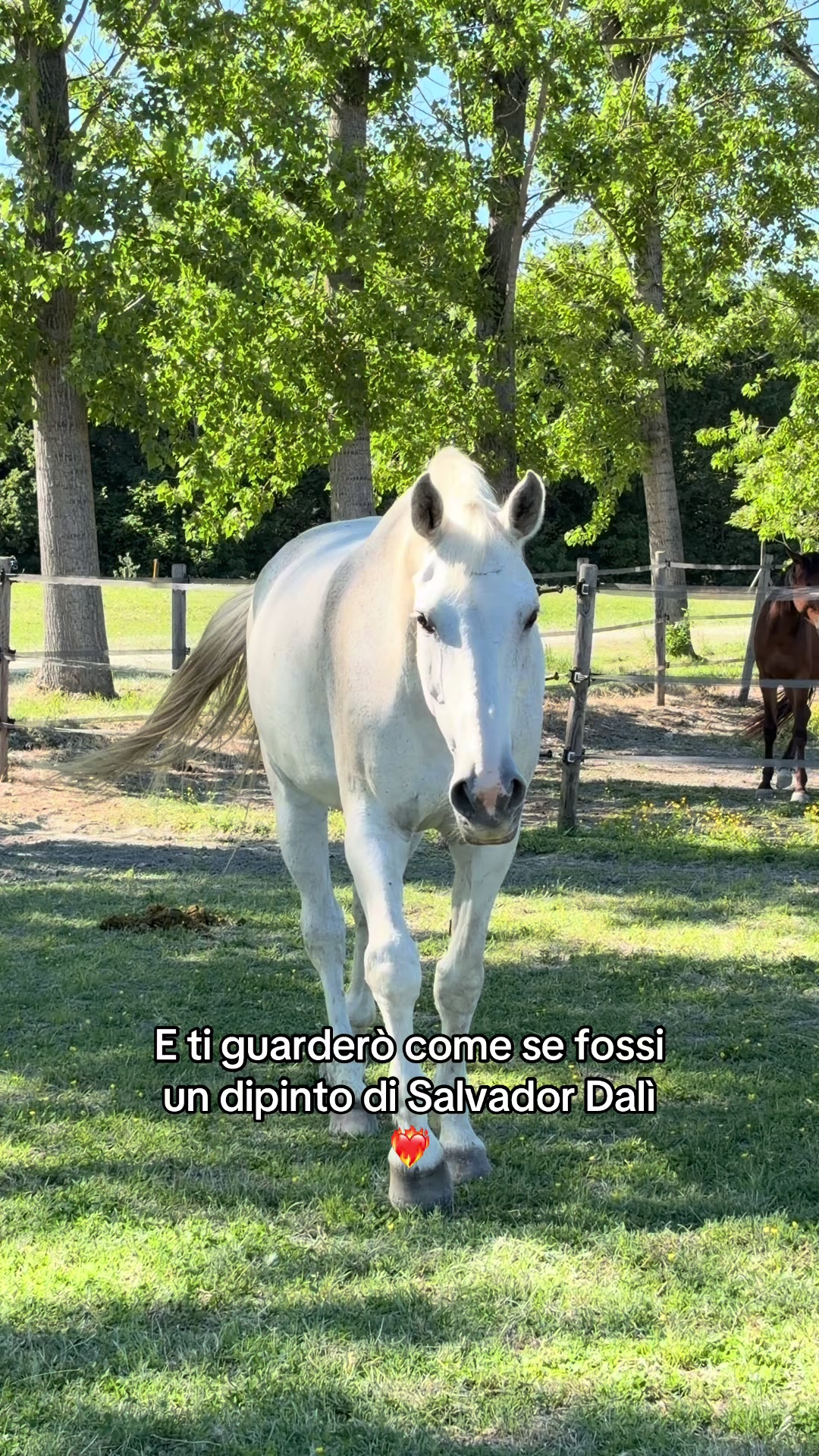 @Marta 🐴