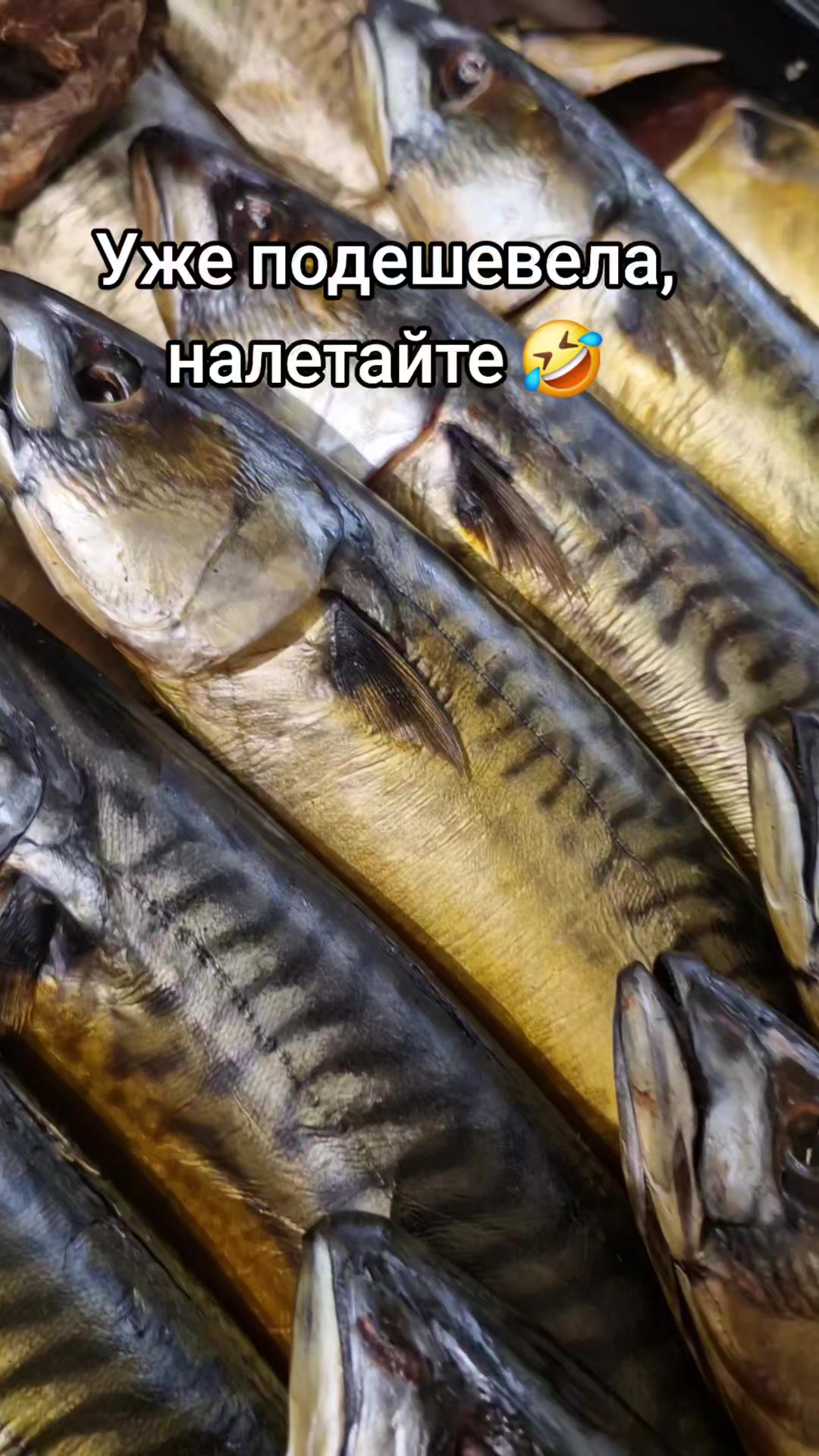 @Елена