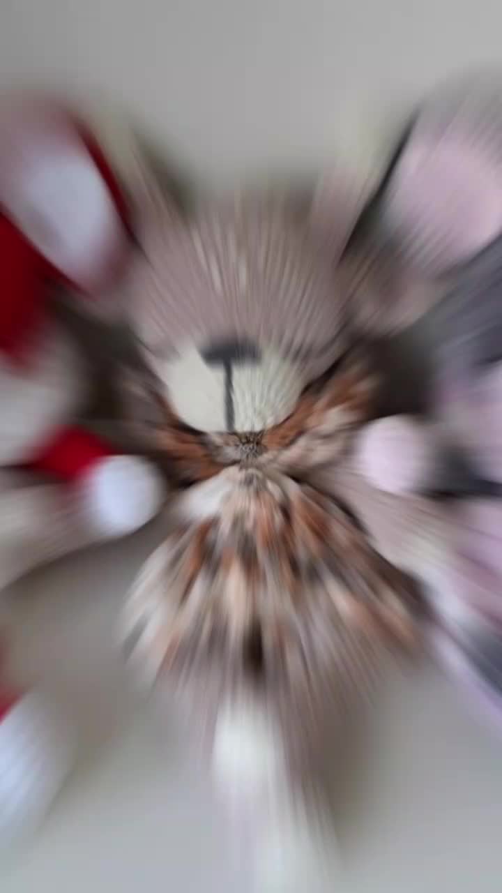 @Santa