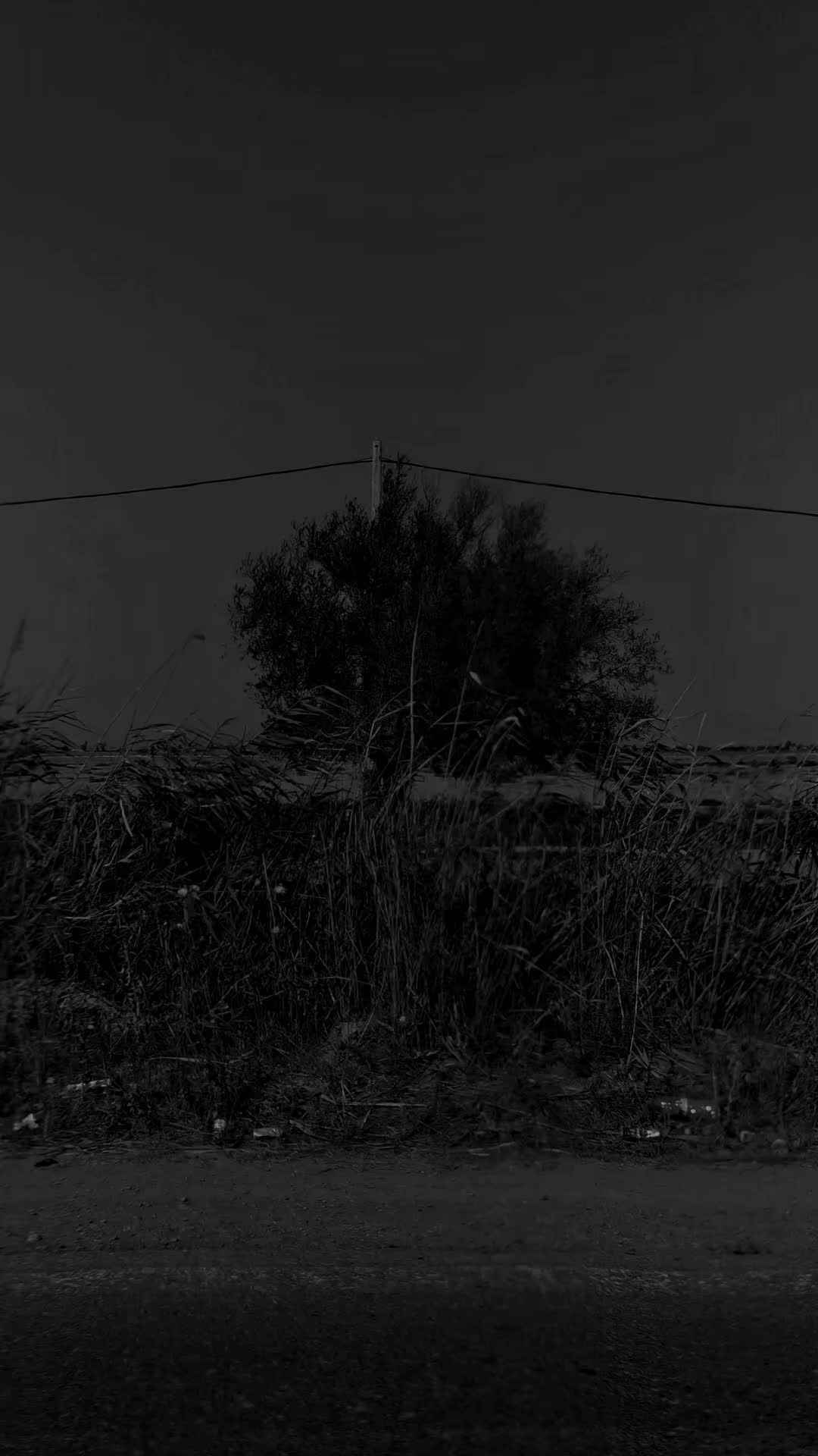 @أســـــــــ💔ــــــــامة