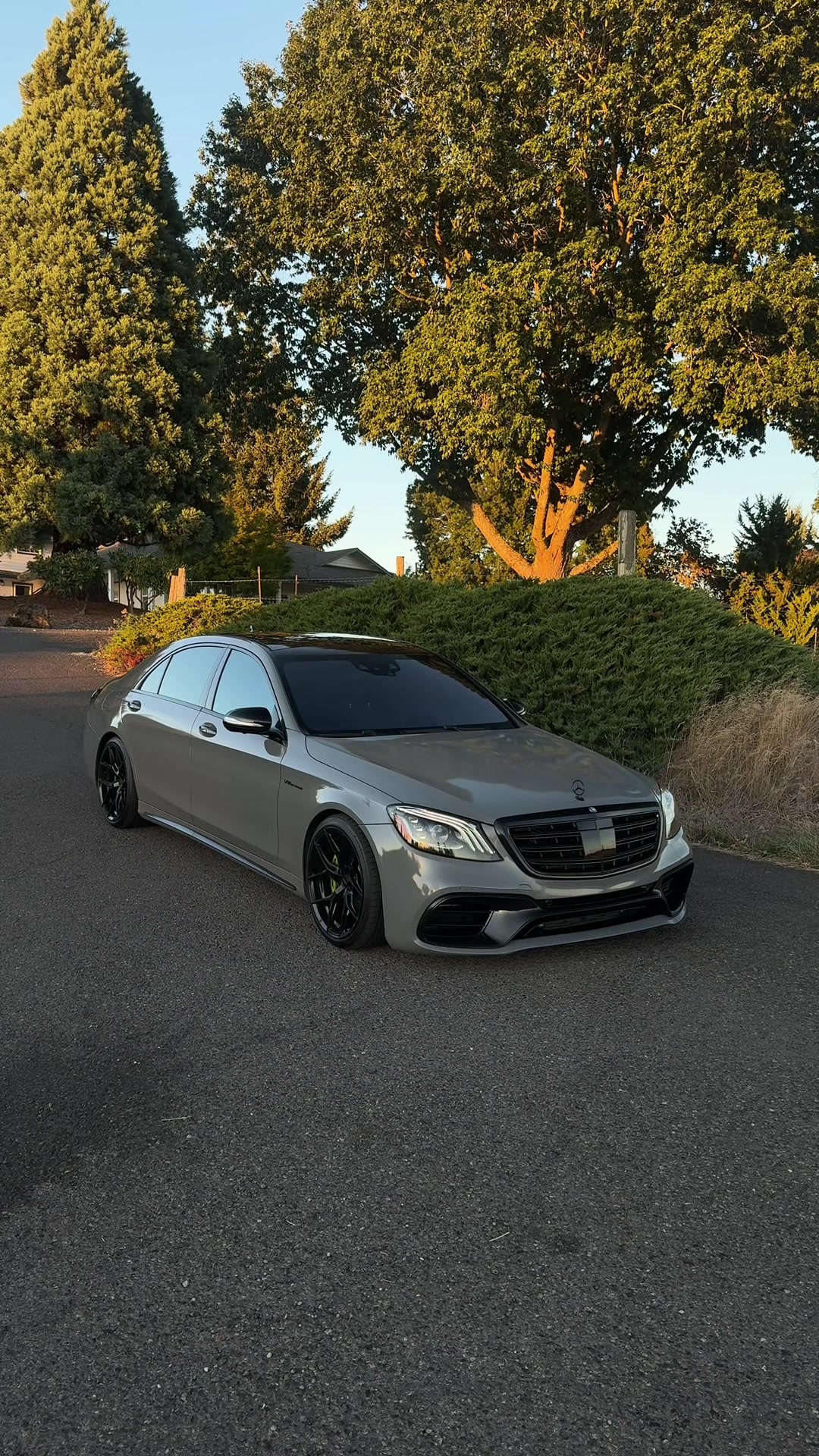 @solo.e63s