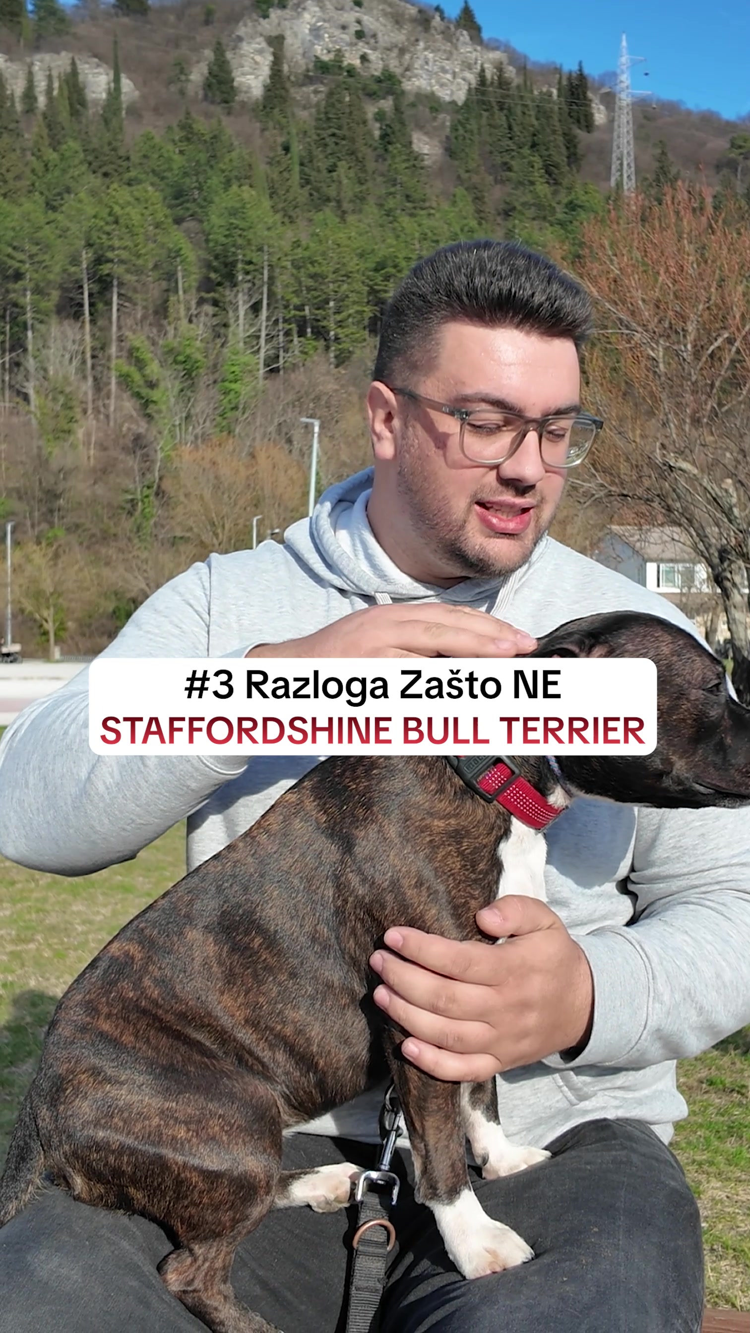 @superdog.akademija