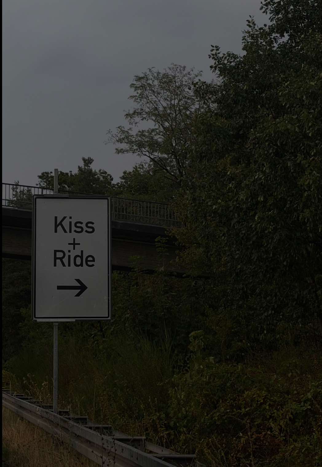 @elisa-anna