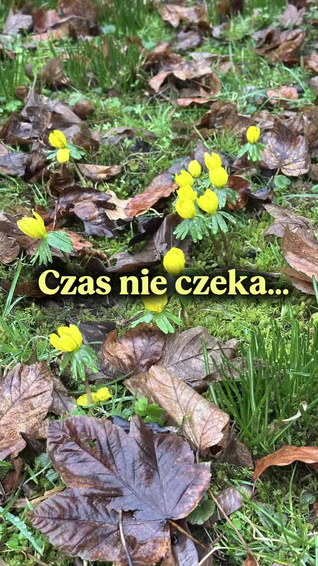 @Beata Fedak