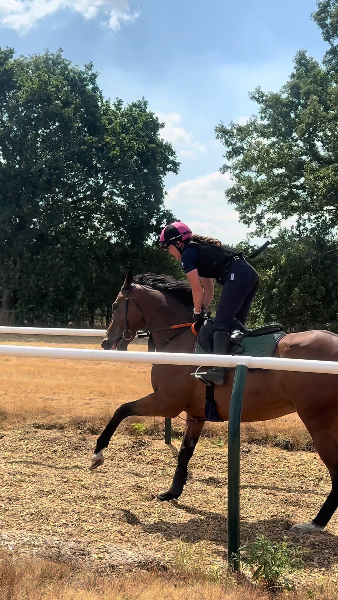 @National Horseracing College