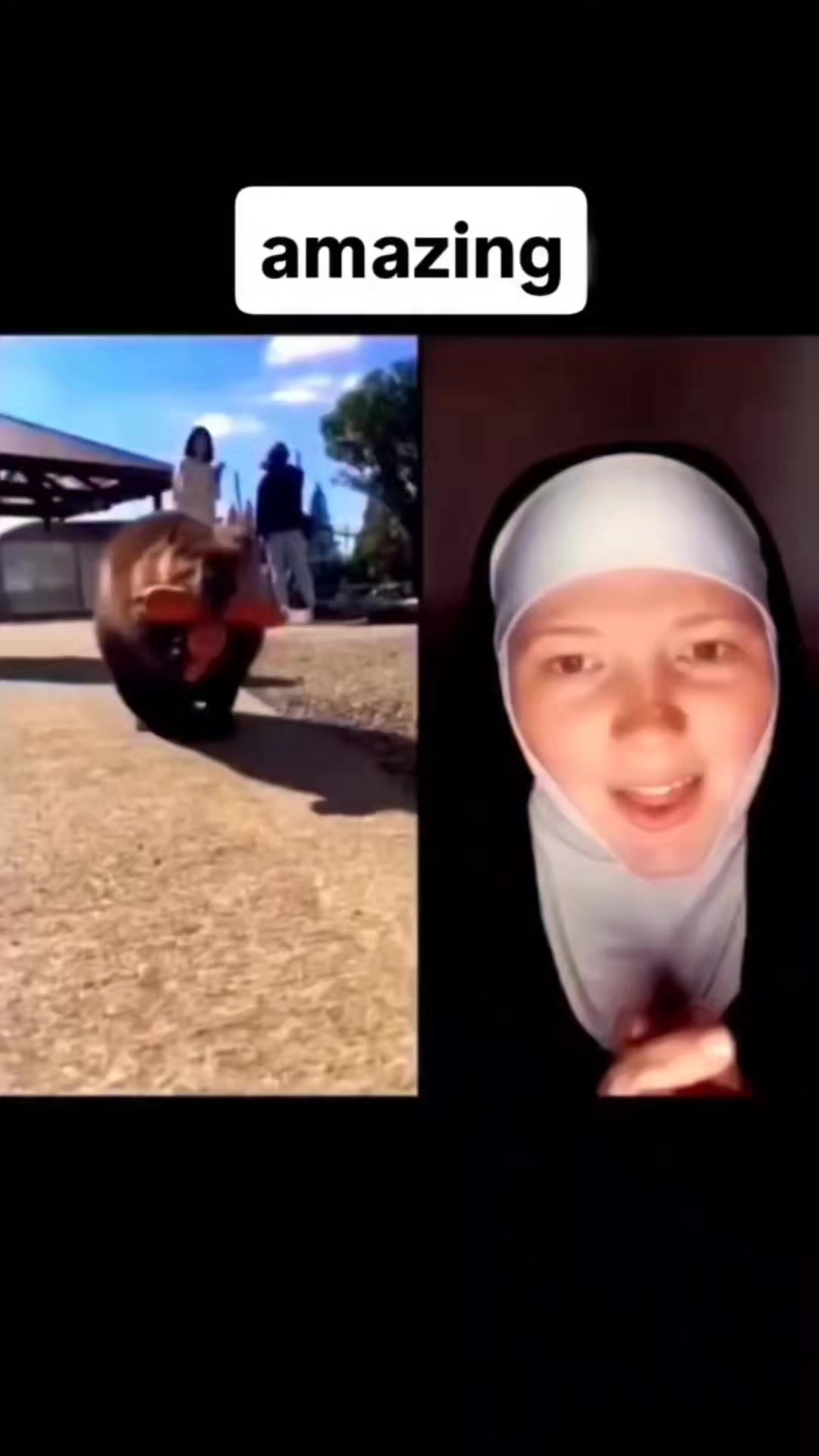@Nico Robin