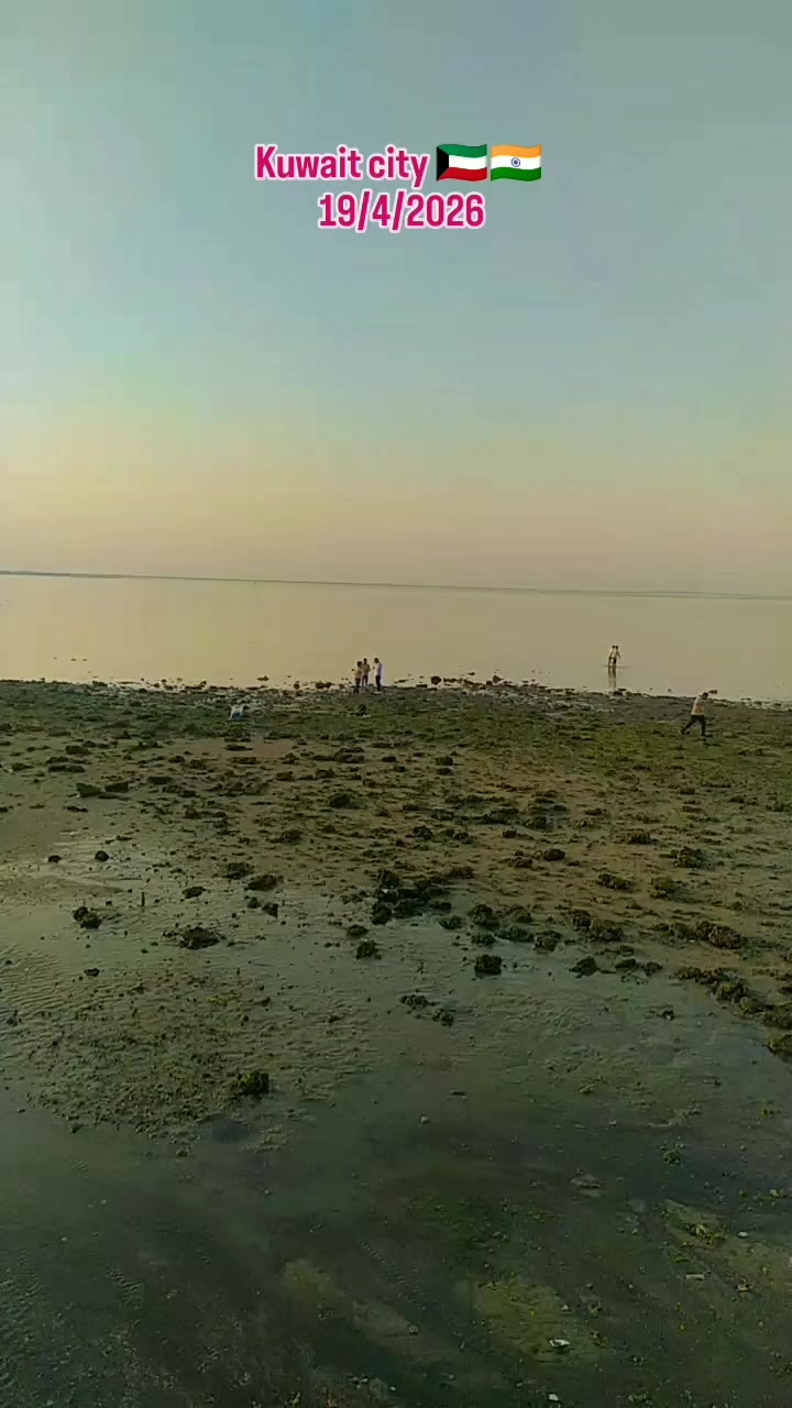 @AnisShekh up42Faizabad🇰🇼🇮🇳