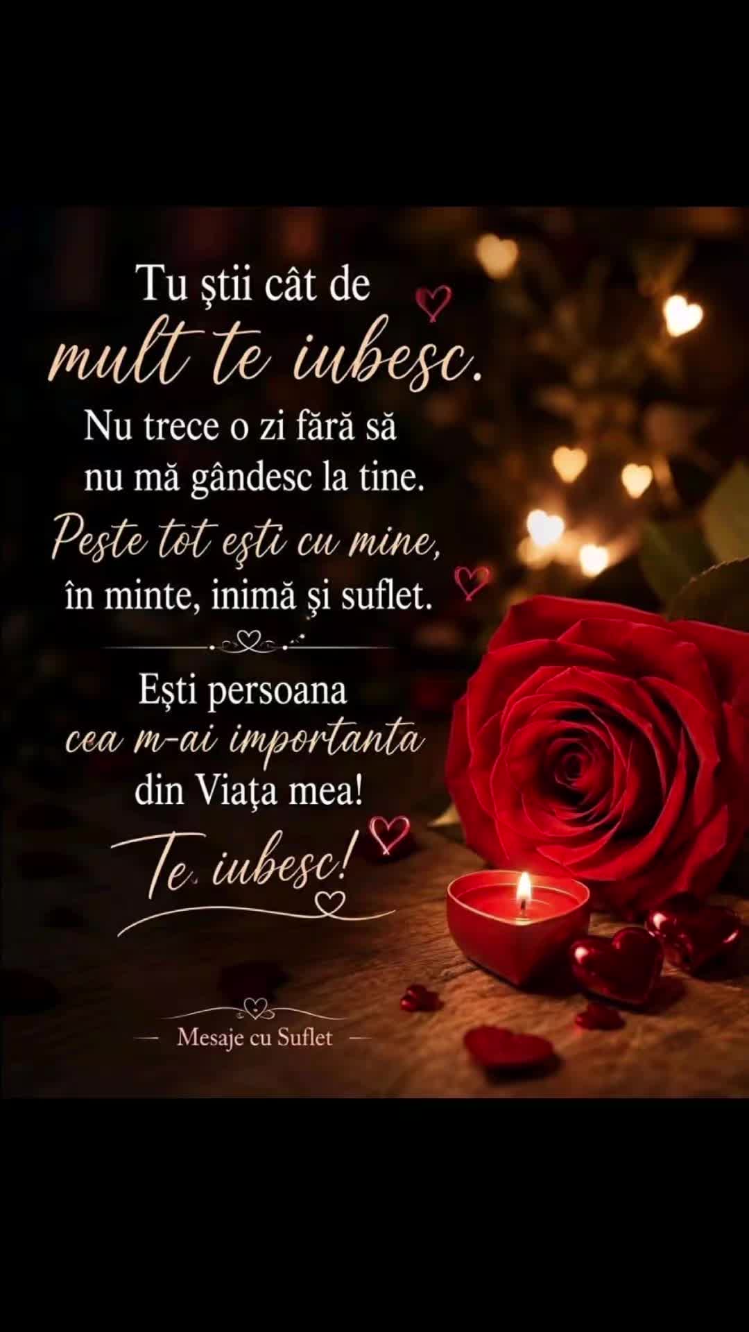 @💫💫Layla 💫💫