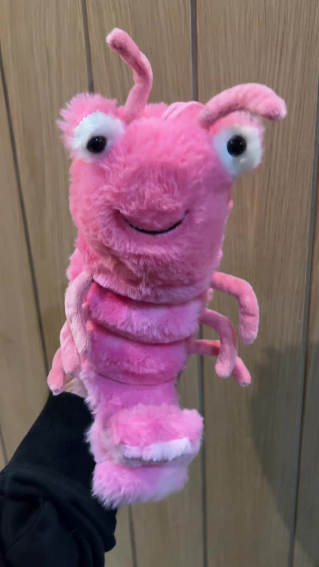 @lifeofholldawgg