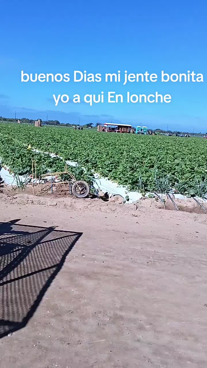 @catalinavlopez