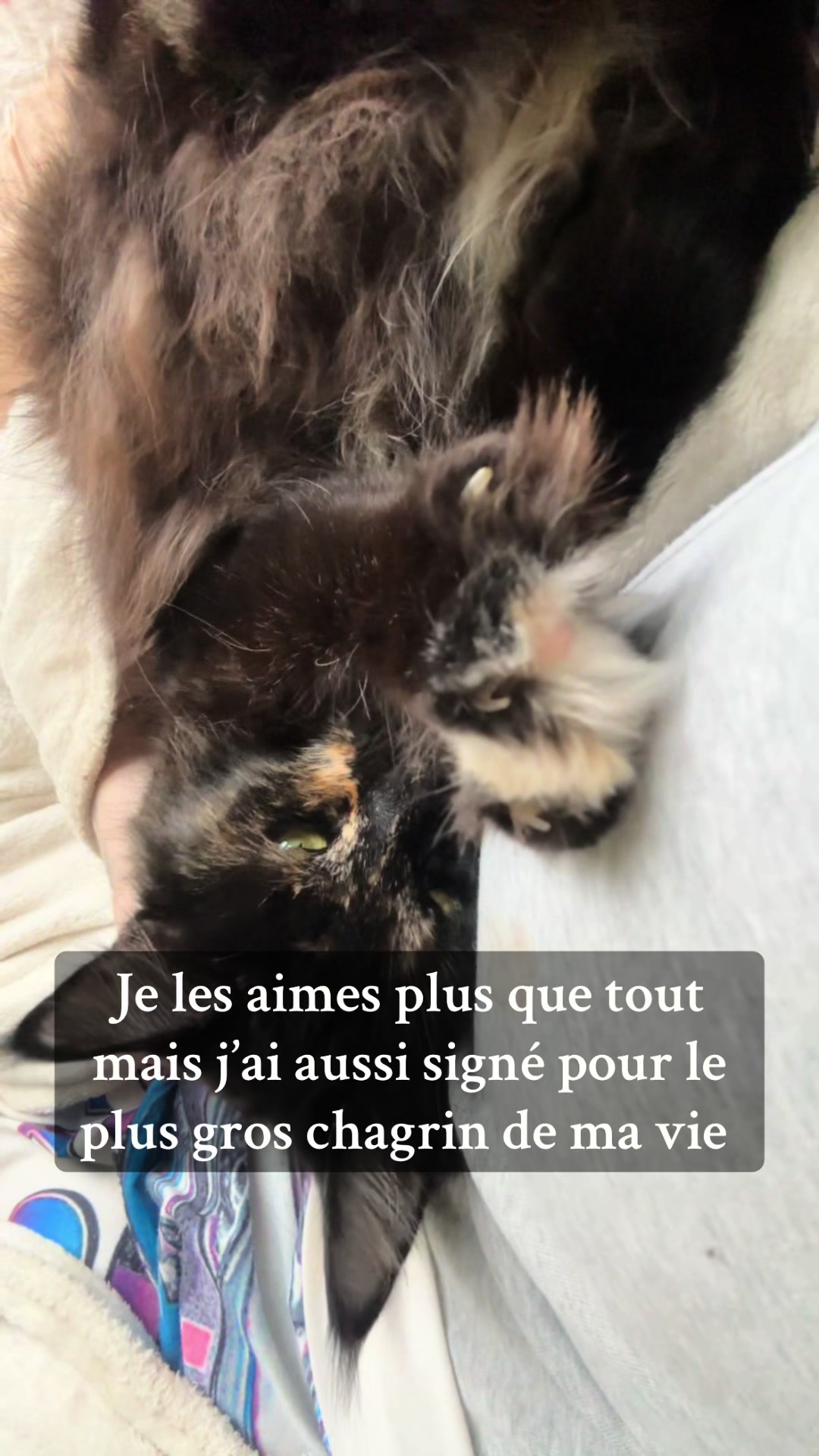 @𝐀𝐥𝐲𝐬𝐬