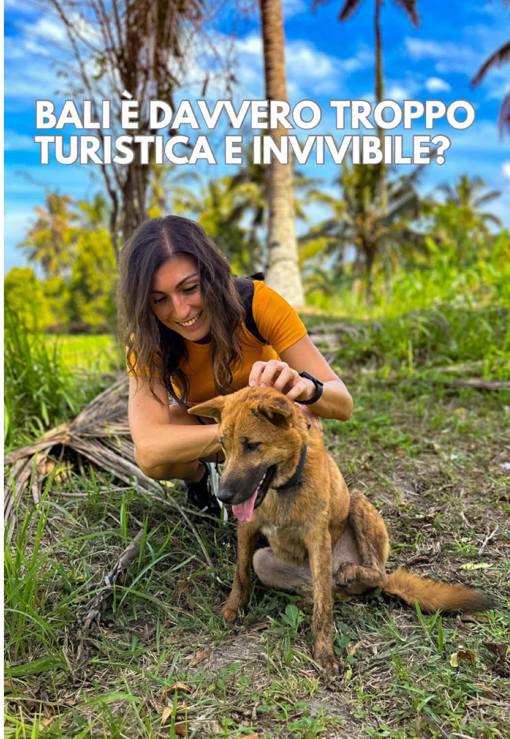 @Selena - Travel Blogger