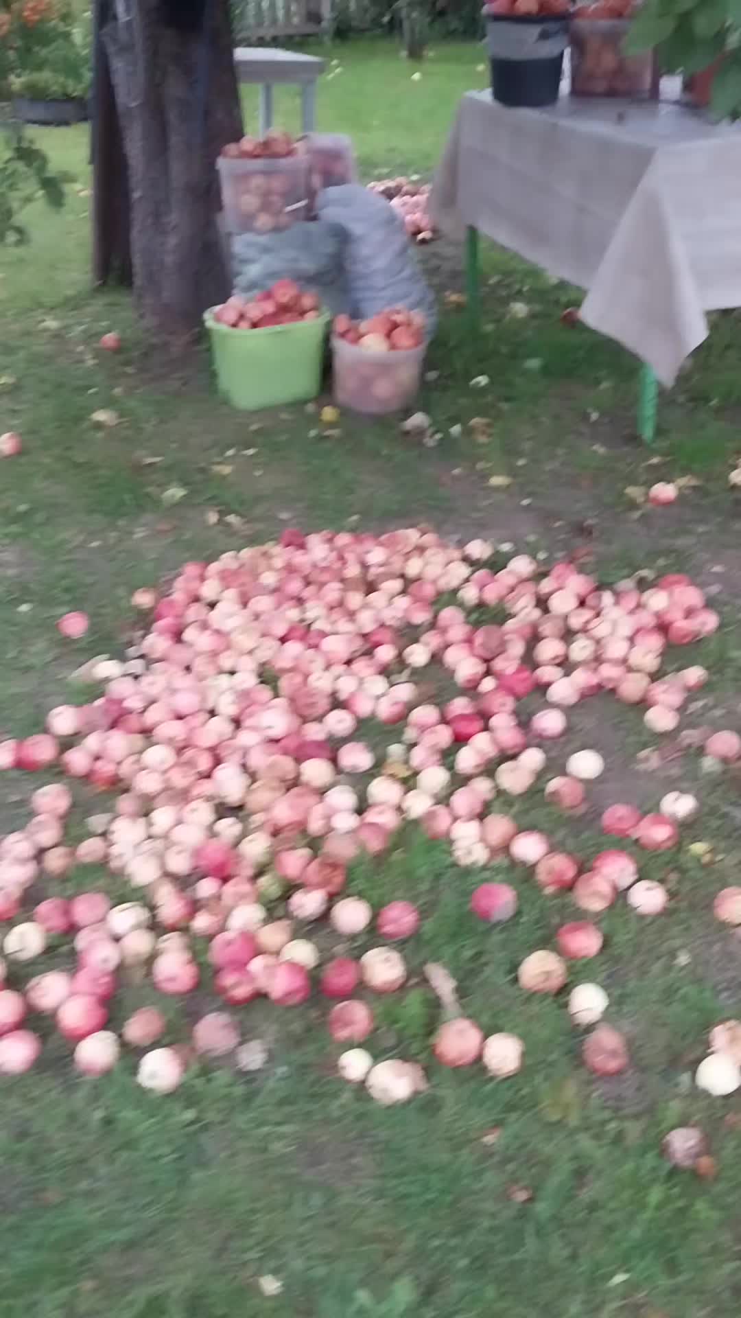 @наталья