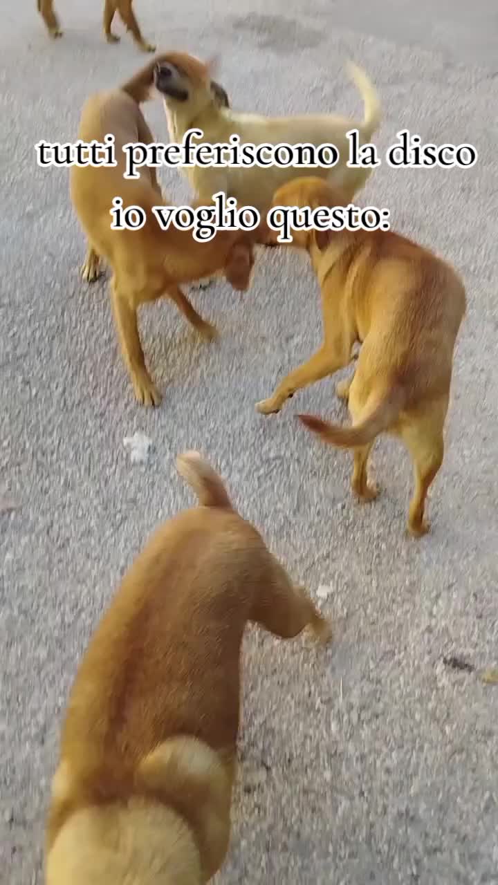 @Maria Salvatore