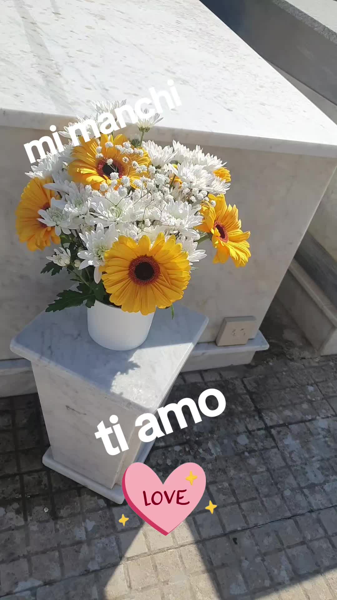 @graziellaforesti2..