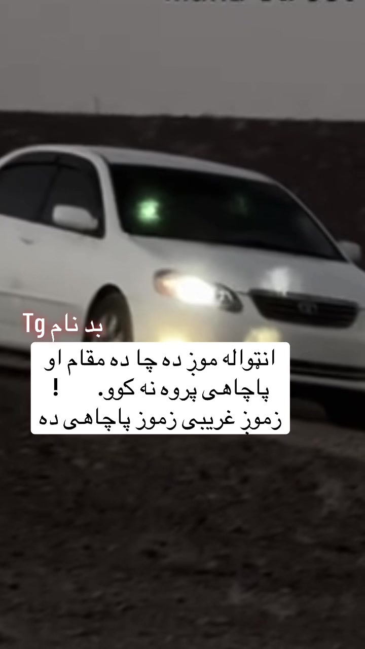 @safi.tg2026