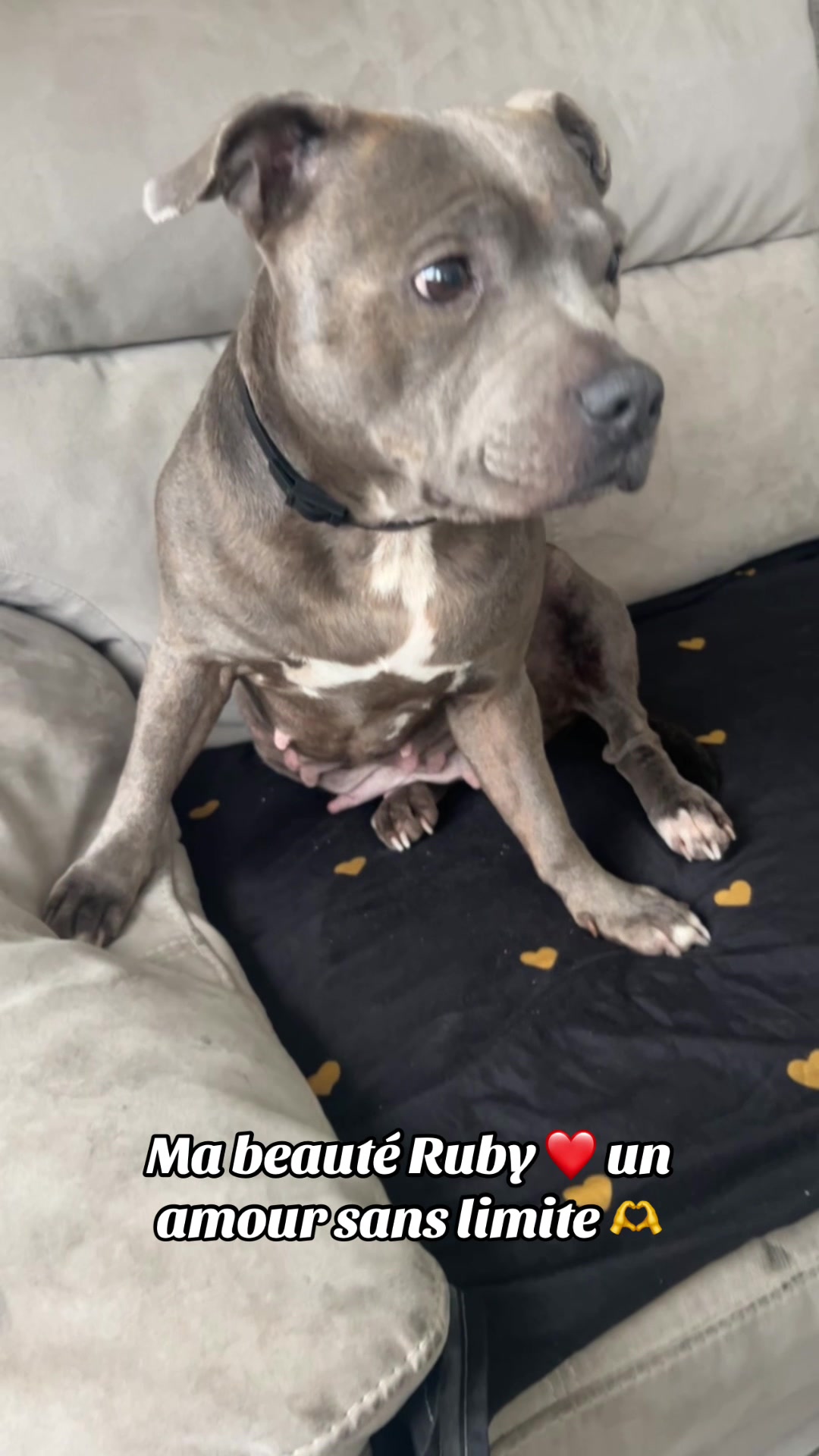 @rubylove_staffie94