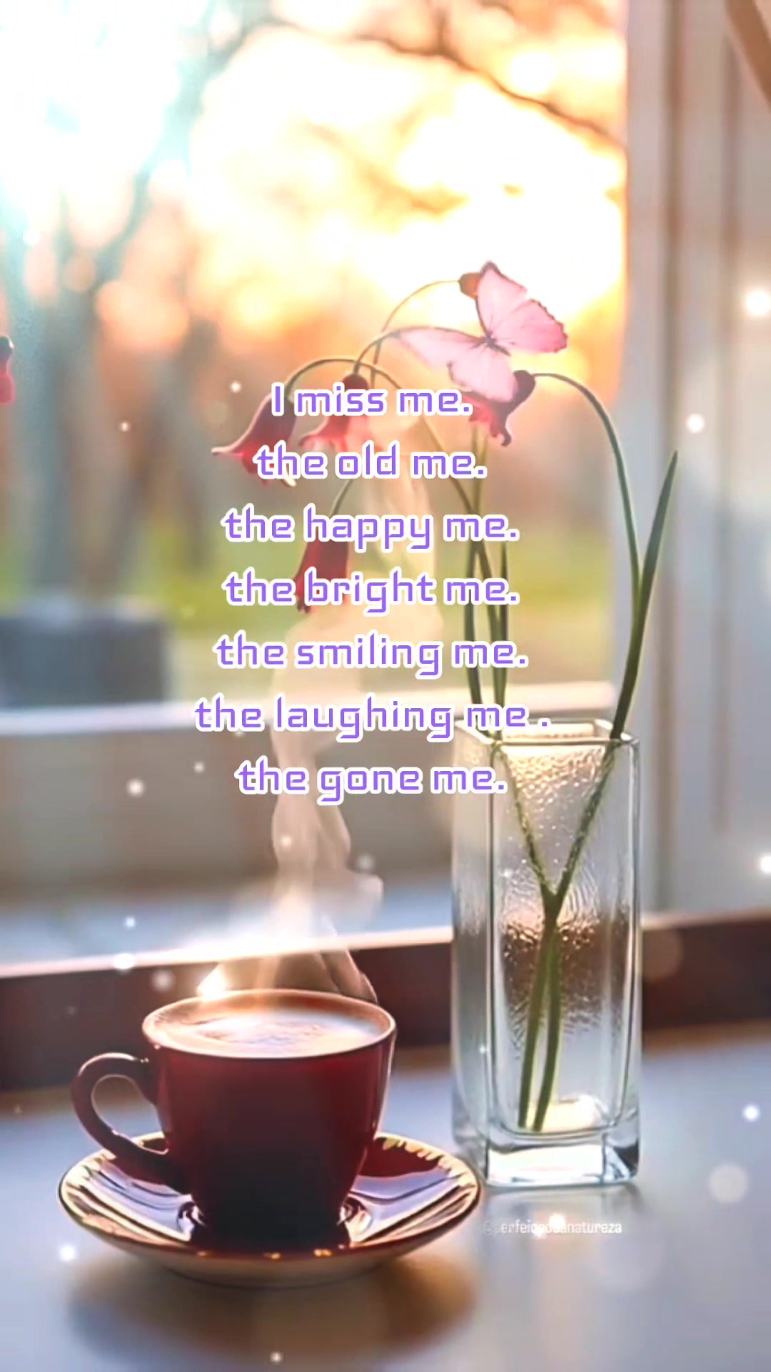 @🌹shapla🌹