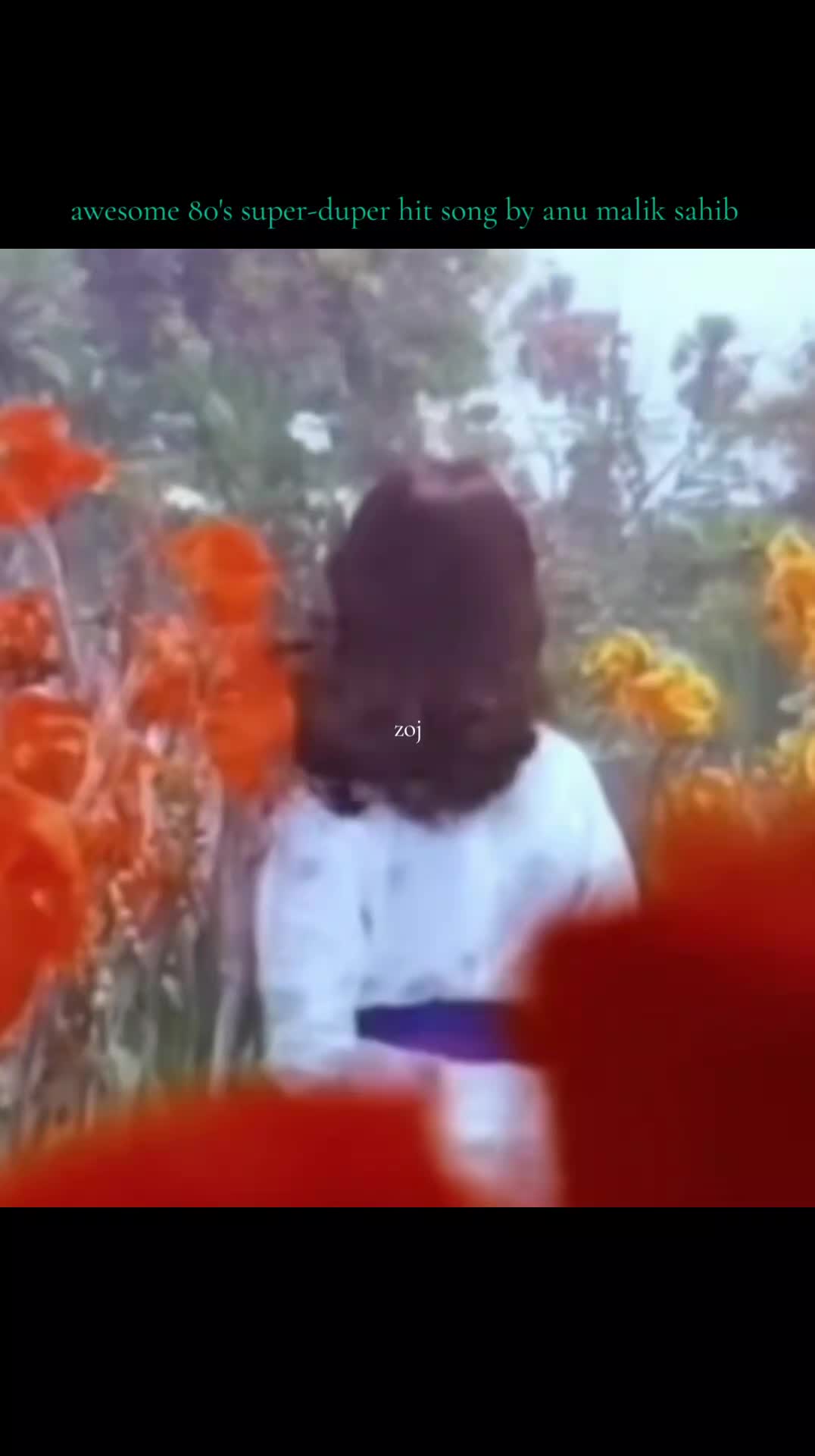 @zoj