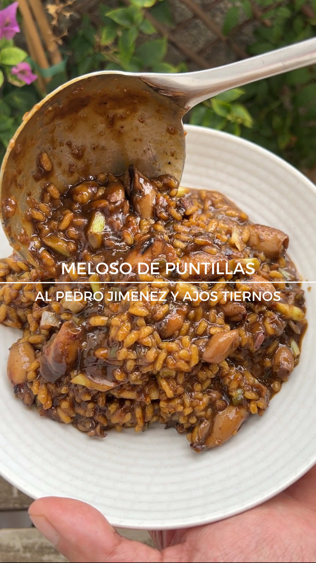@El Chef Kent/H&eacute;ctor Medina