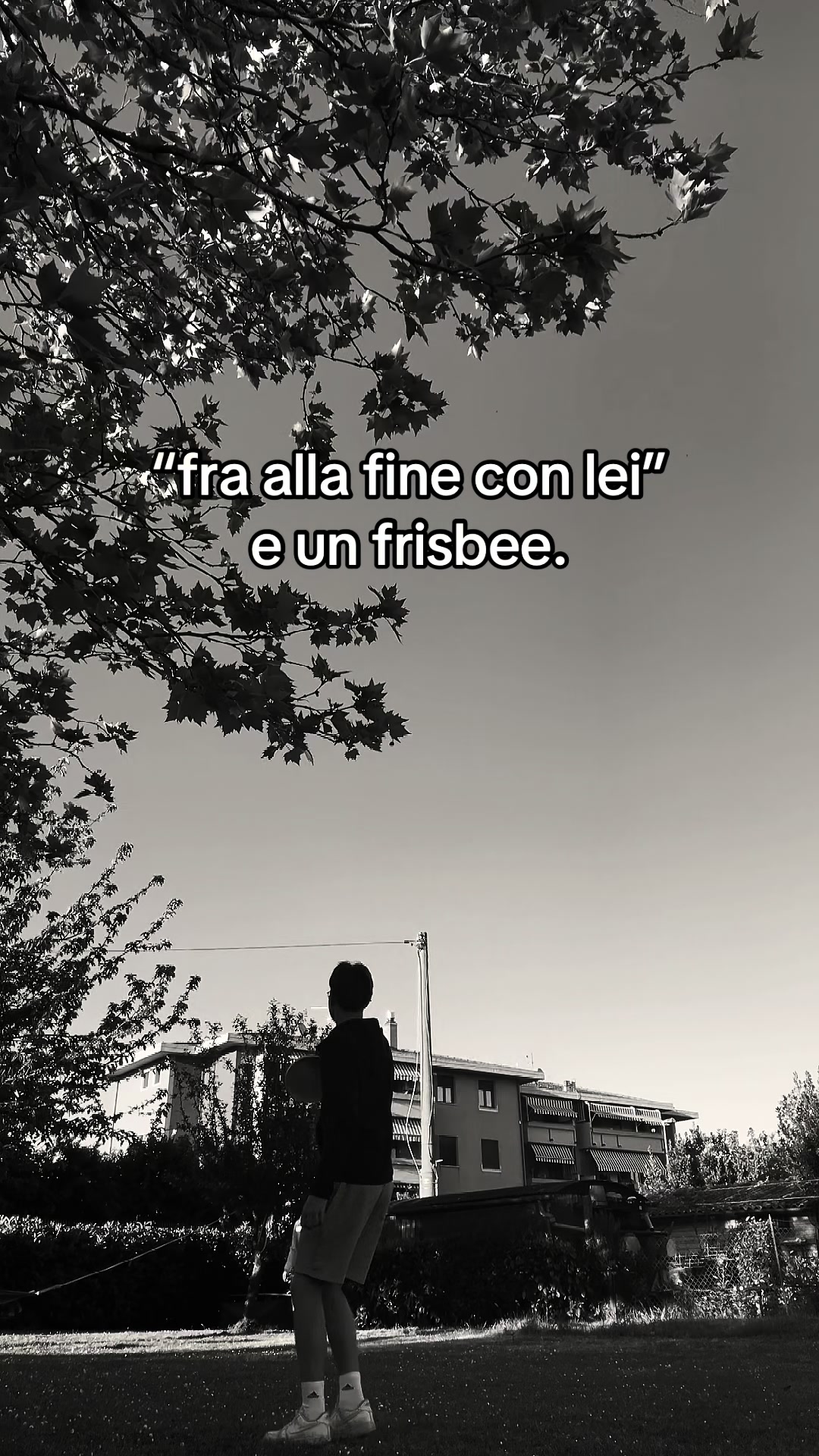 @dinisamuele