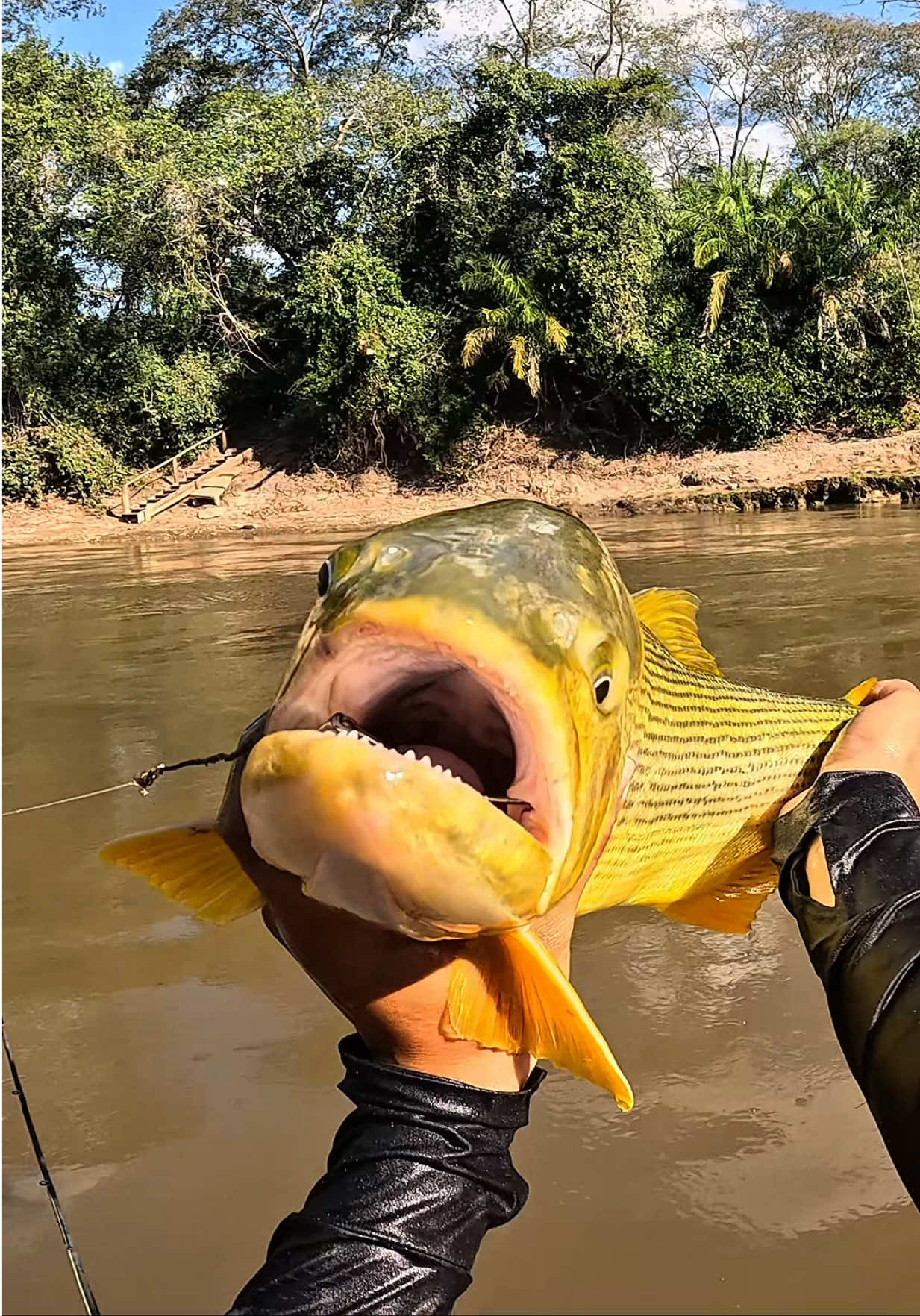 @Magrão Pesca