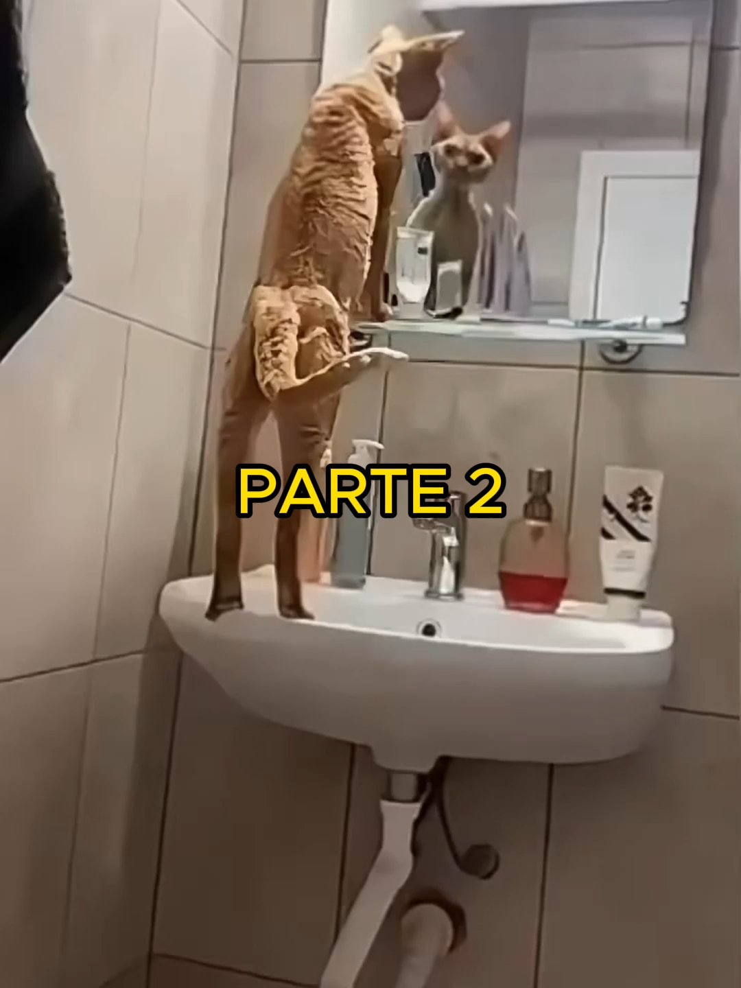 @Hist&oacute;rias Bizarras