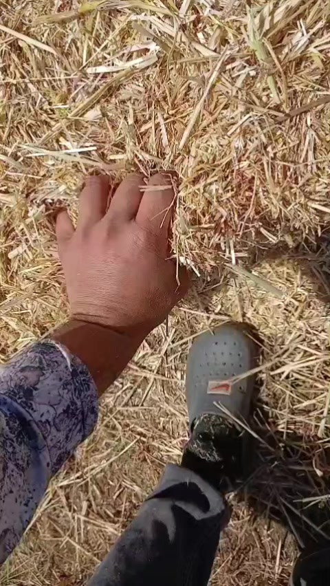 @Talip Eryiğit