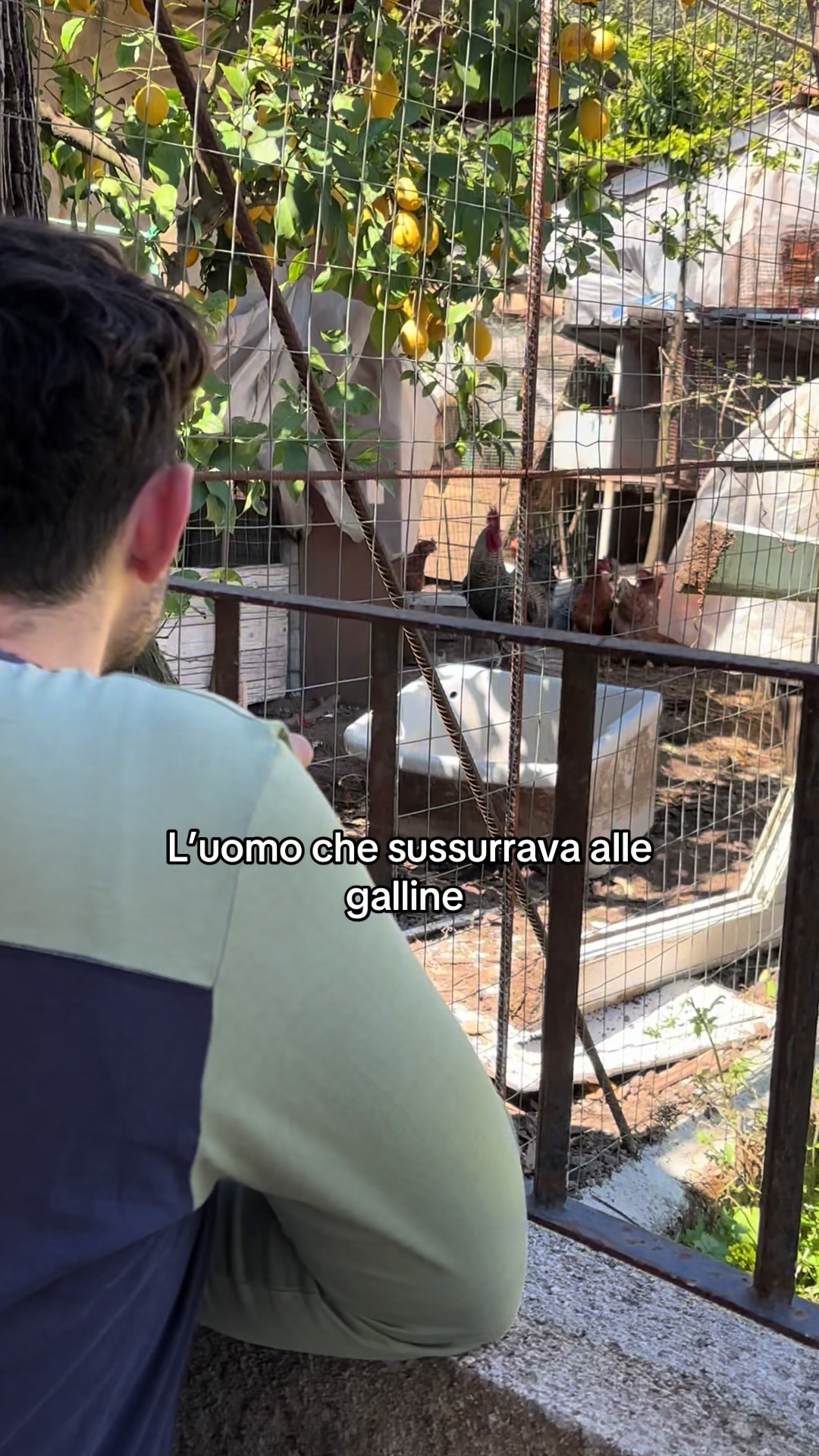 @Francesco Rispoli