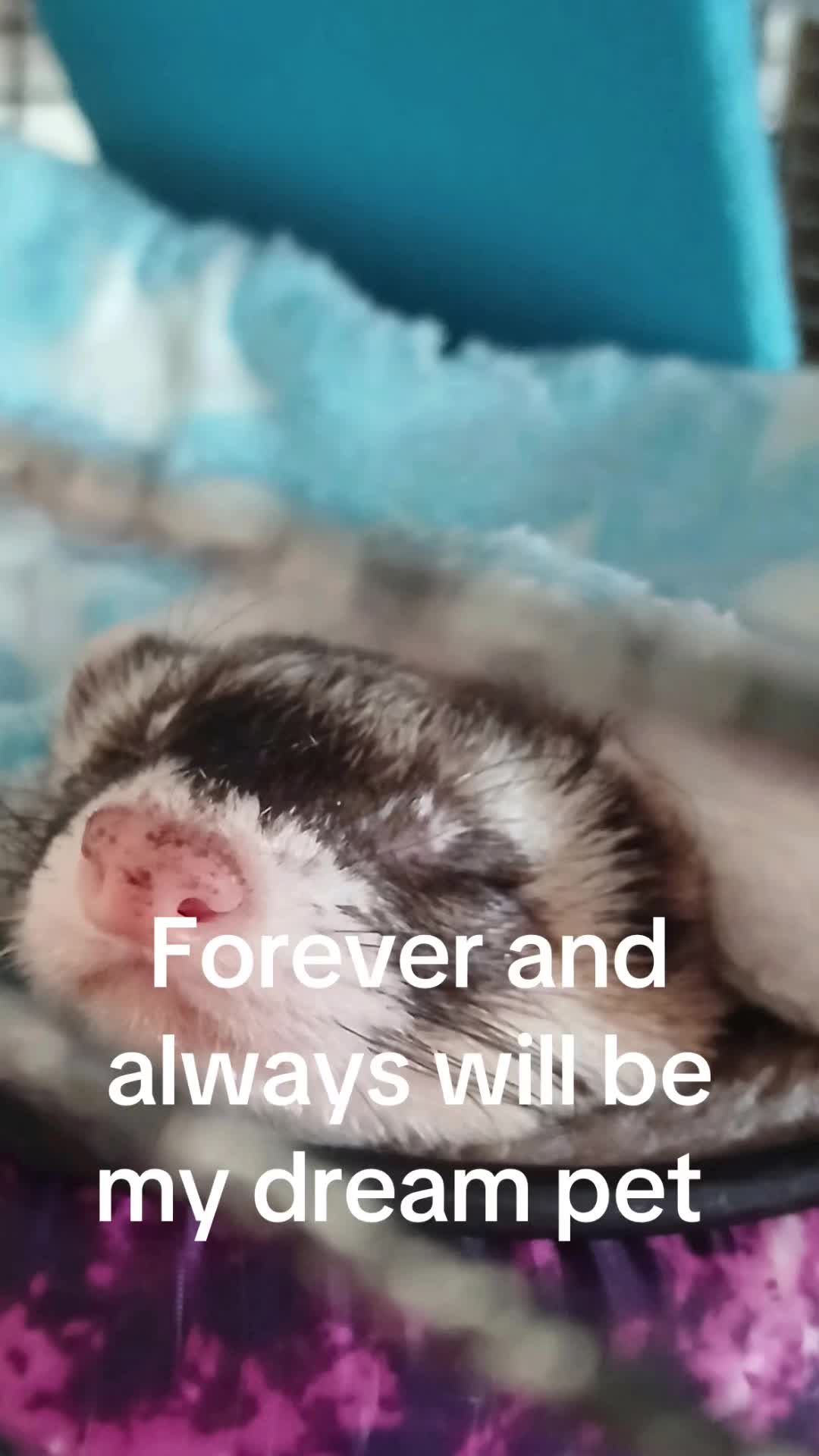 @ 