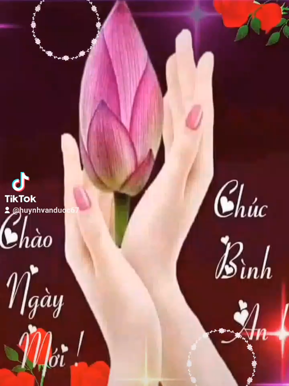 @Huỳnh Văn Được
