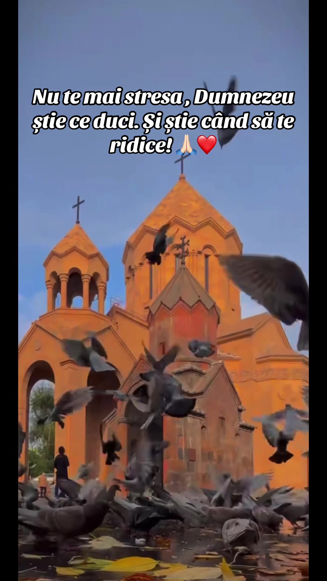 @Ardelean Raluca Amalia ❤️