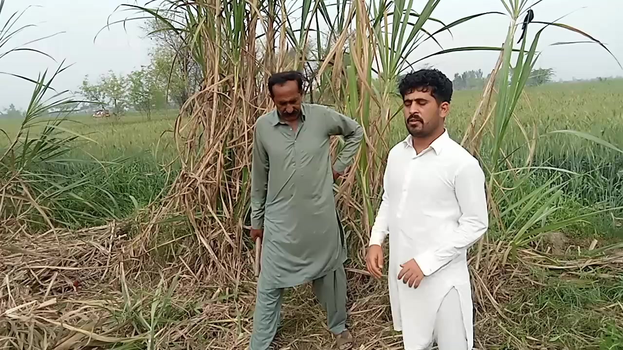 @choto