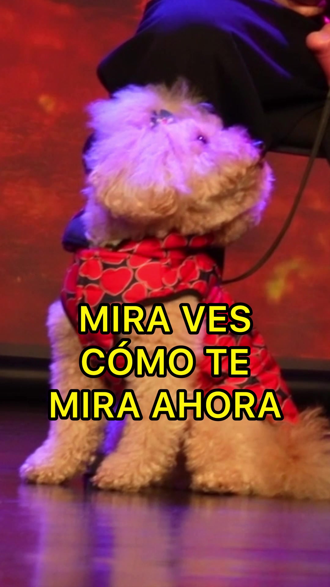 @Juan D&aacute;vila