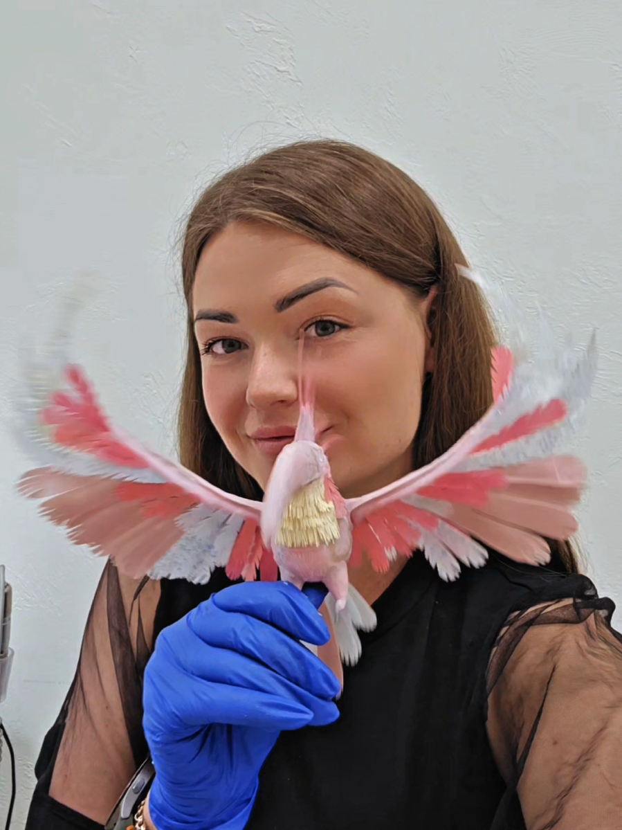@Dovilė Zaukevičiūtė