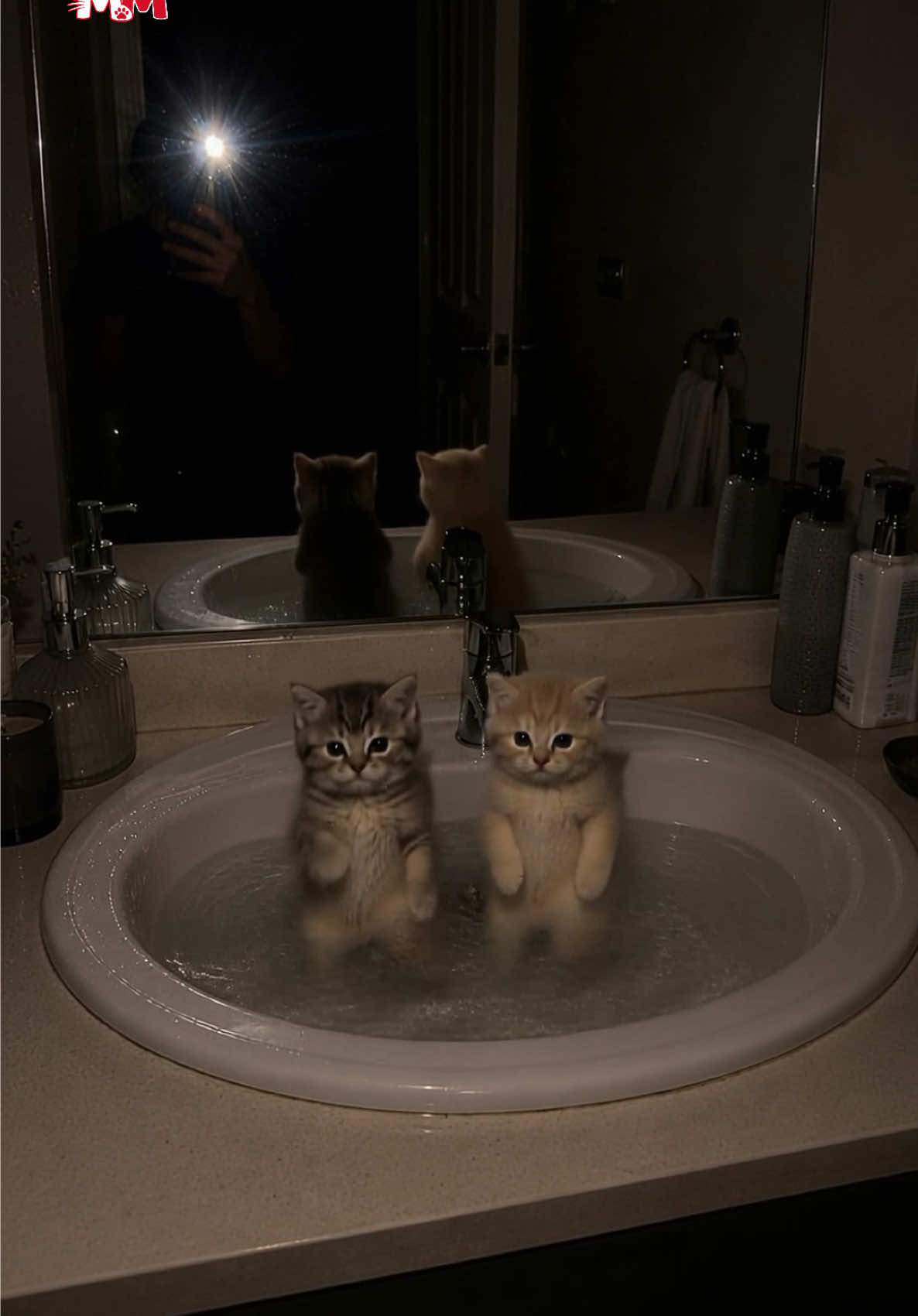 @meowmotion