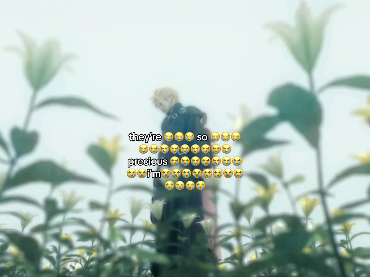 @๐โ๐๐ฆ๐๐แฐ