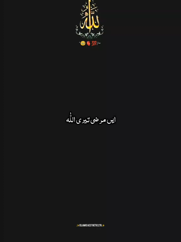 @راجه لقمان 🦅