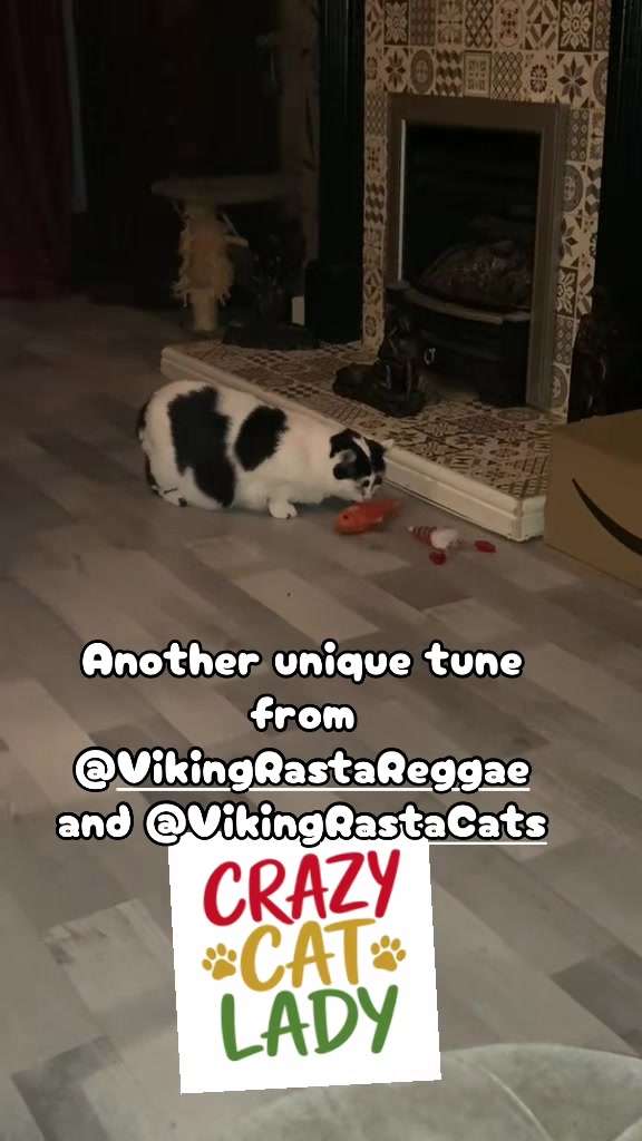 @crazycatladyxfour