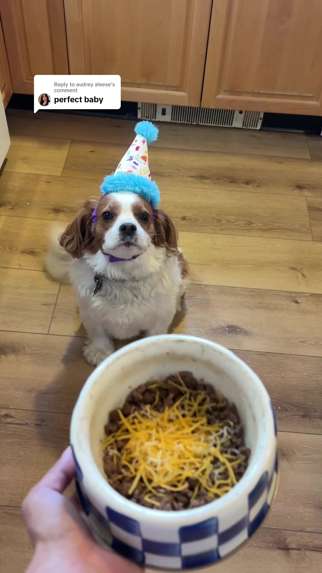 @Madison Taylor