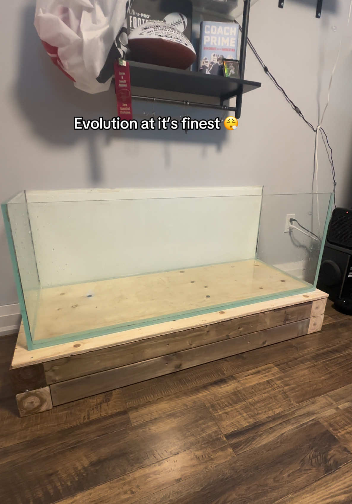 @ReefSync