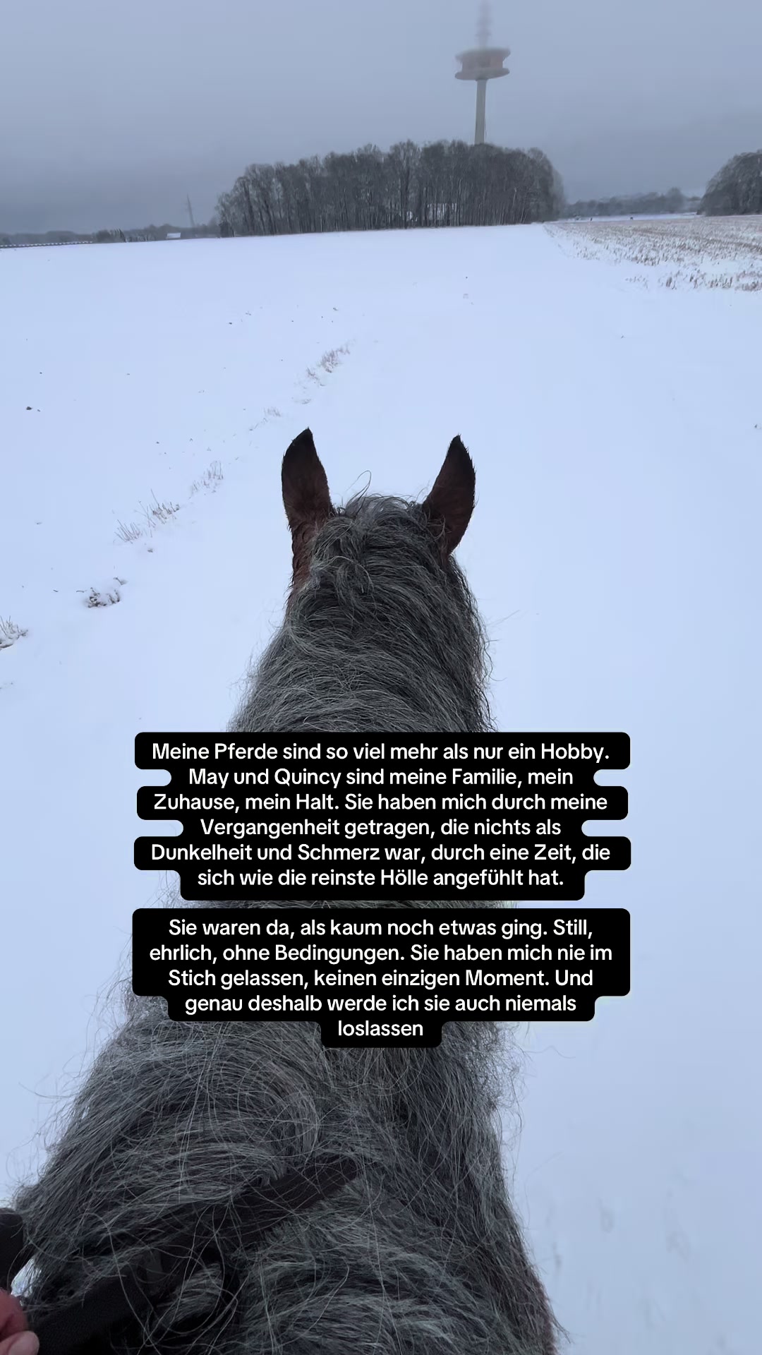 @hortensja_may_quincy