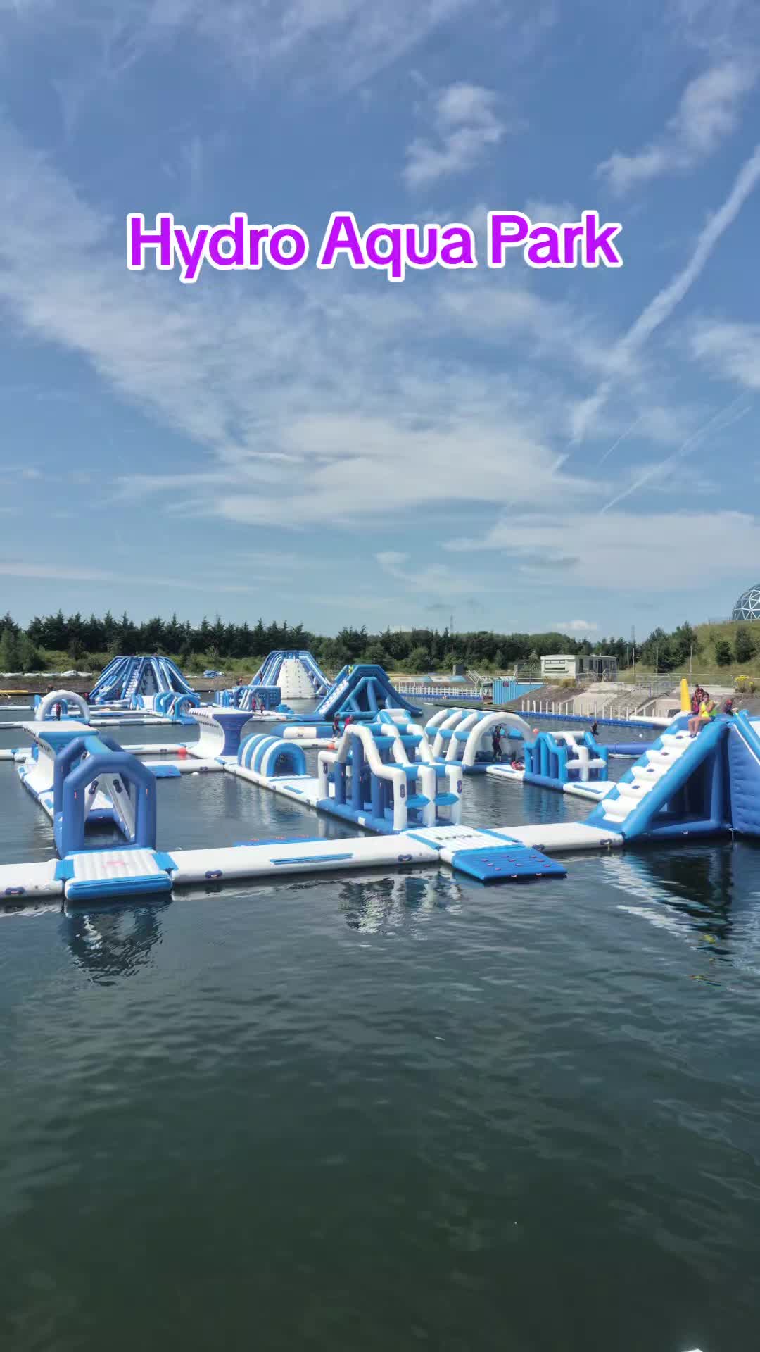 @PURPLE JOY SUMMER