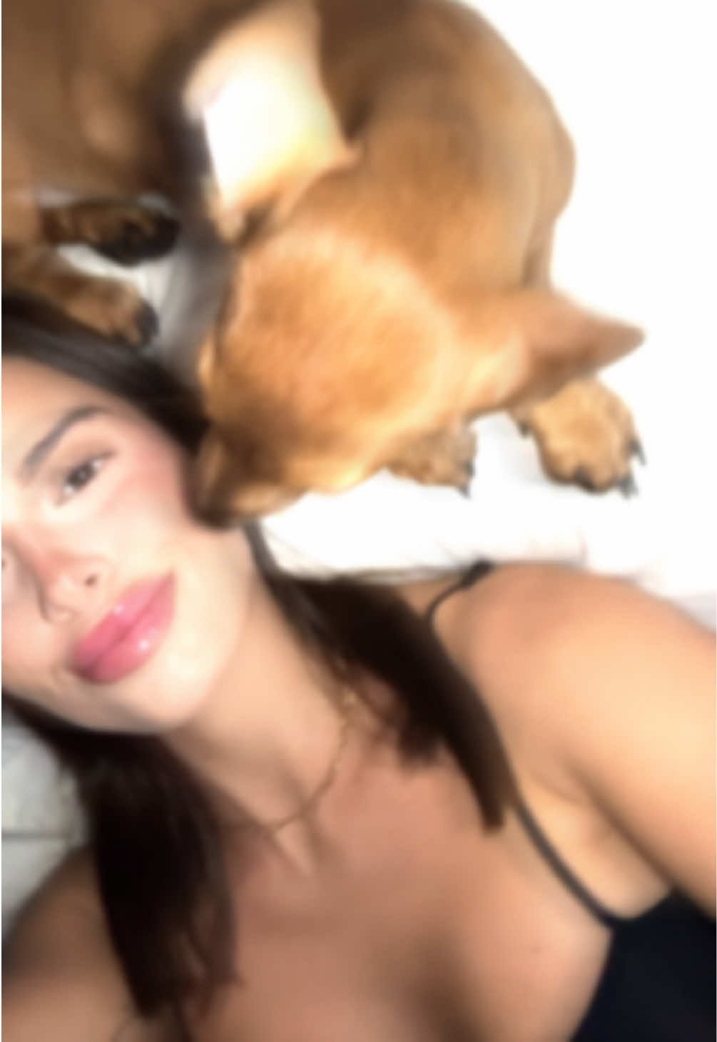 @lu