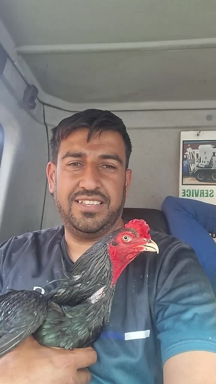 @Raja Shujahat