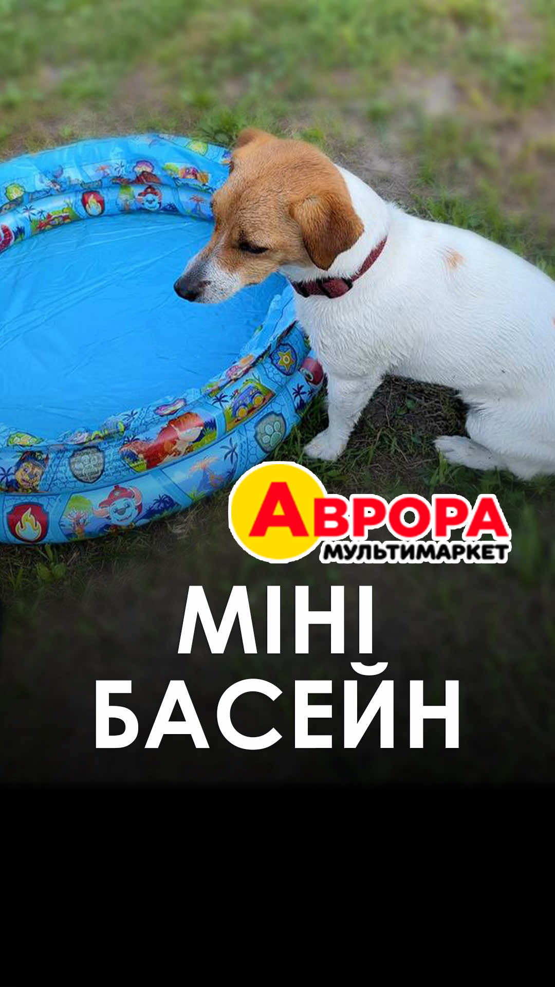 @ГОРДИНСЬКА